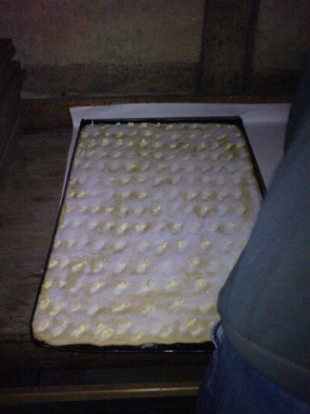2008_09_06 butterkuchen f_r das dreschfest im backhaus backen mit fritze_ andreas_ frank und uta 018.jpg